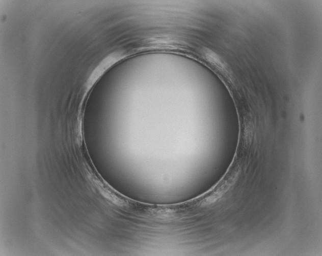 X0000067951370200604201420