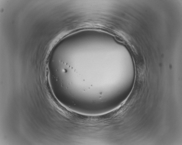 X0000067951371200604201420