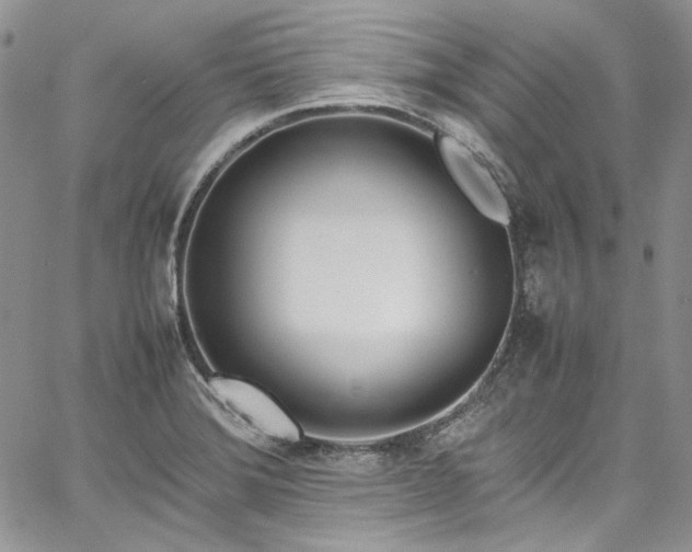 X0000067951372200604201420