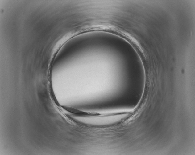 X0000067951373200604201420