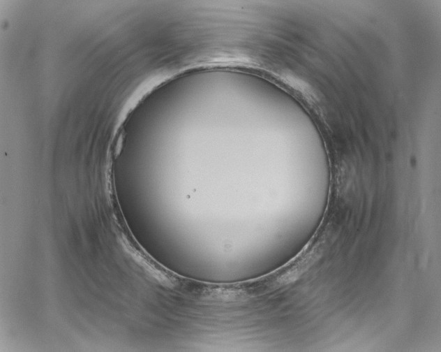 X0000067951374200604201420