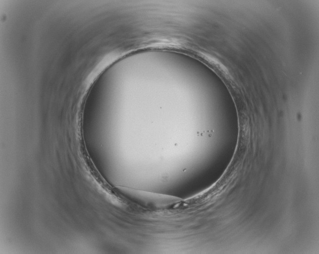 X0000067951375200604201420