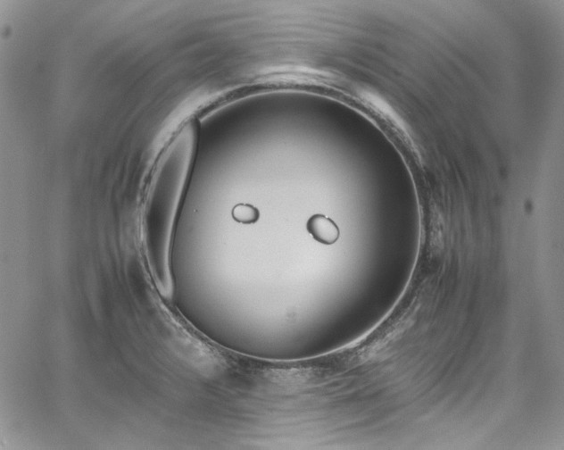 X0000067951376200604201420