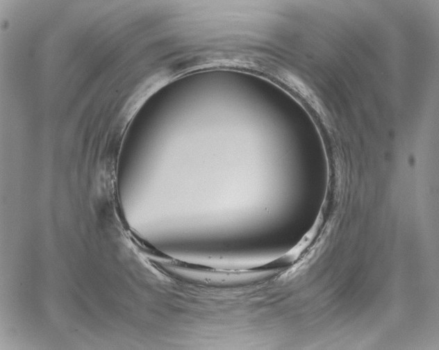 X0000067951377200604201420