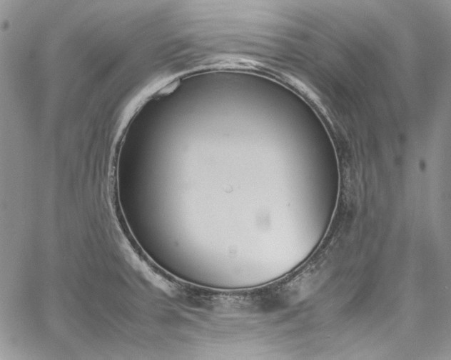 X0000067951379200604201420