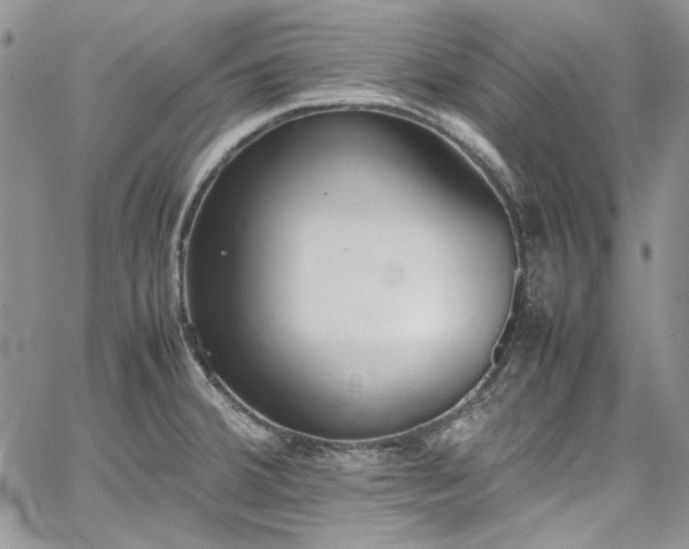 X0000067951380200604201420