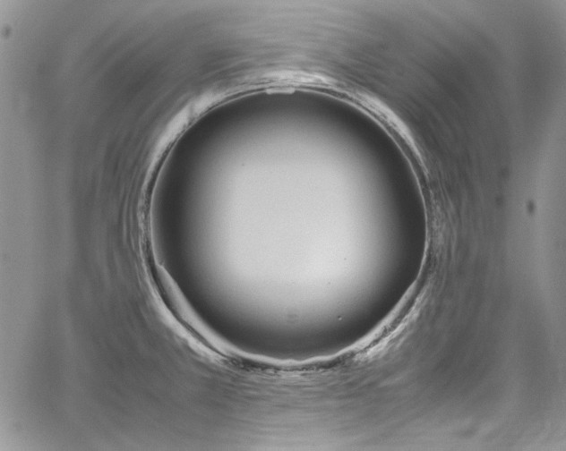 X0000067951381200604201420