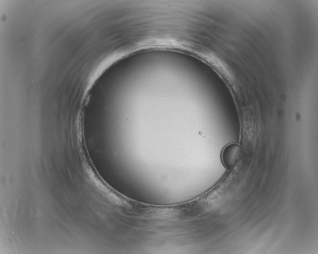 X0000067951382200604201420