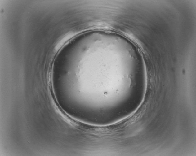 X0000067951383200604201420