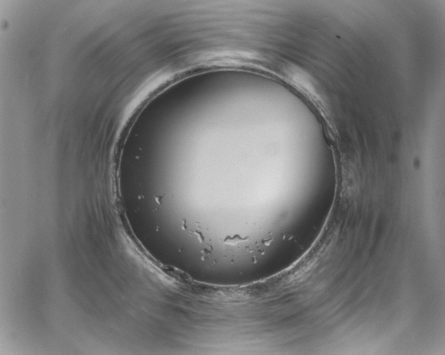 X0000067951384200604201420