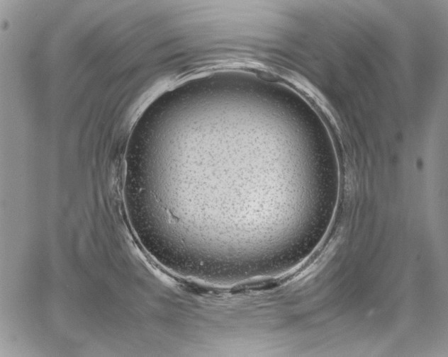 X0000067951385200604201420