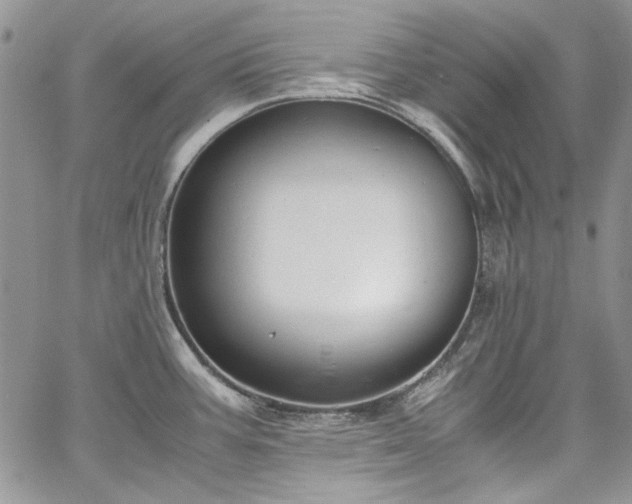 X0000067951387200604201420