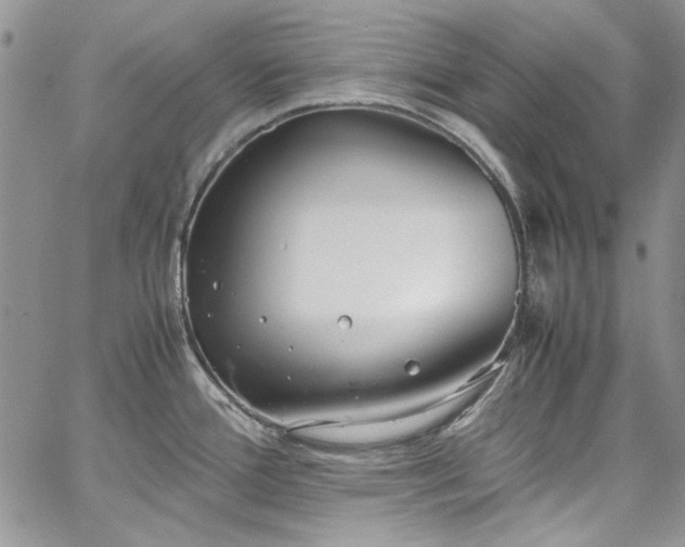 X0000067951388200604201420