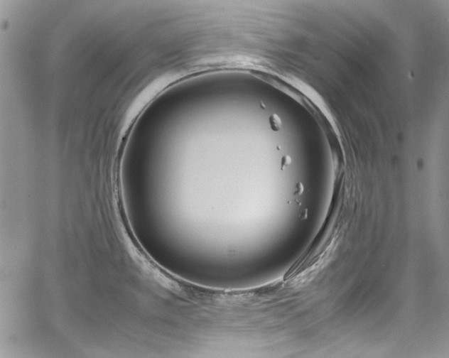 X0000067951389200604201420