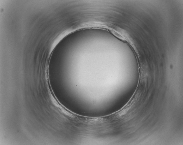 X0000067951390200604201420