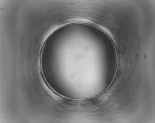 X0000067951391200604201420