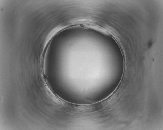 X0000067951392200604201420