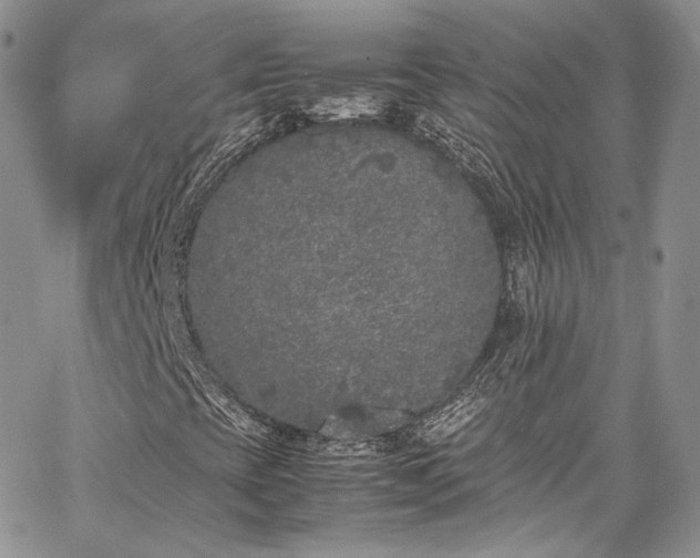 X0000067951393200604201419