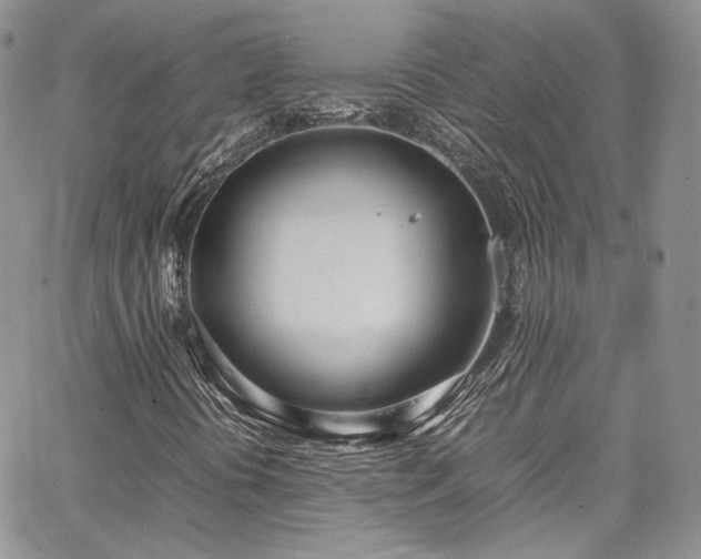 X0000067951394200604201419