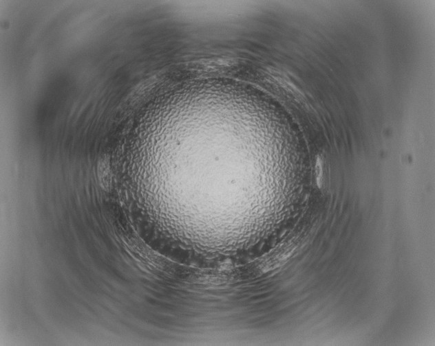 X0000067951395200604201419