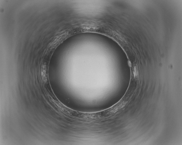 X0000067951396200604201419