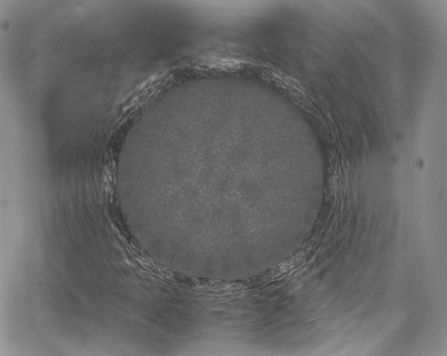 X0000067951397200604201419