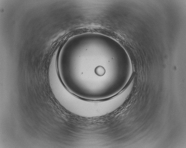 X0000067951398200604201419