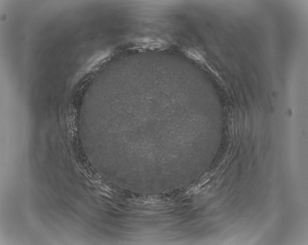 X0000067951399200604201419