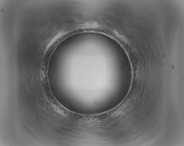 X0000067951400200604201419