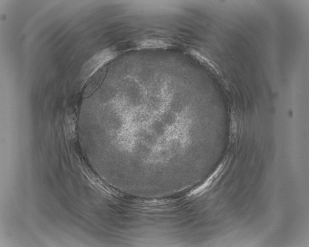 X0000067951401200604201419