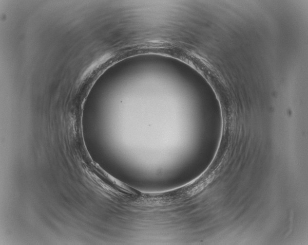 X0000067951402200604201419