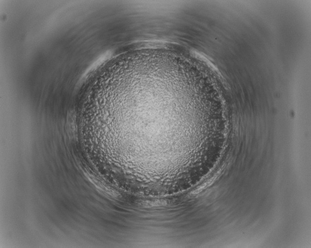 X0000067951403200604201419