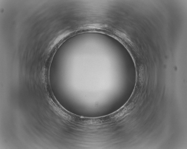 X0000067951404200604201419