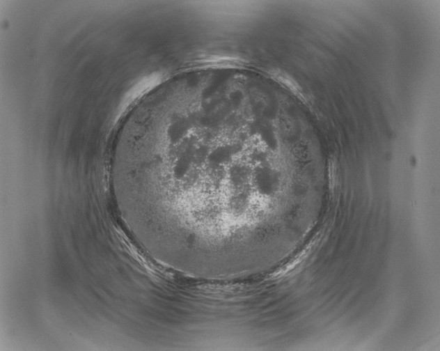 X0000067951405200604201419