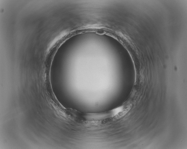 X0000067951406200604201419