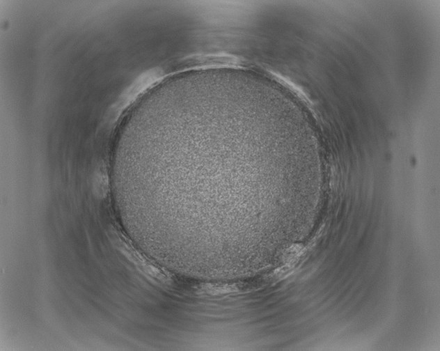 X0000067951407200604201419