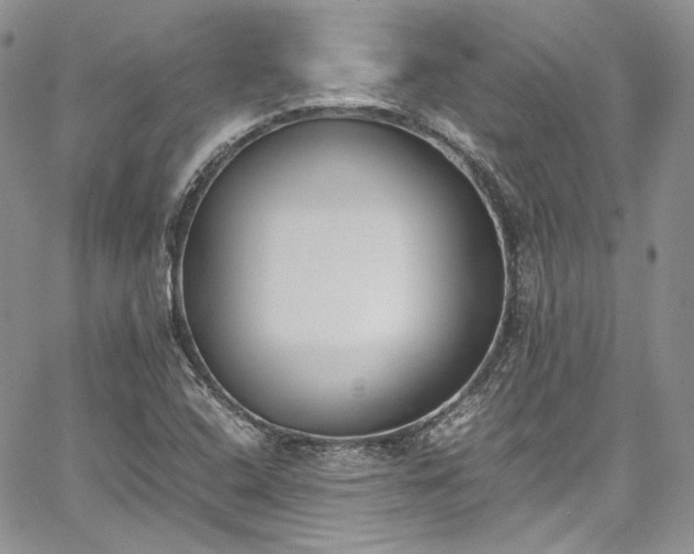 X0000067951408200604201419