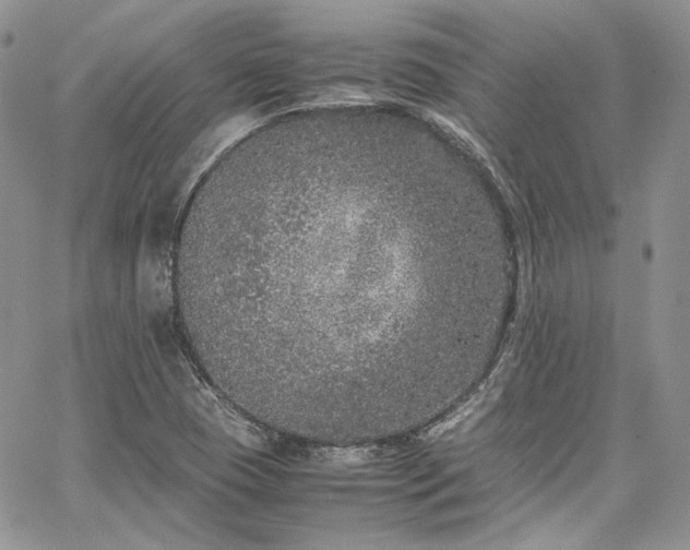 X0000067951409200604201419