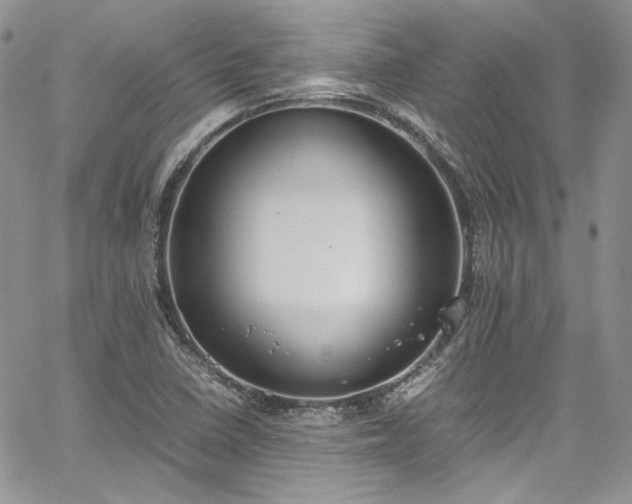 X0000067951410200604201419