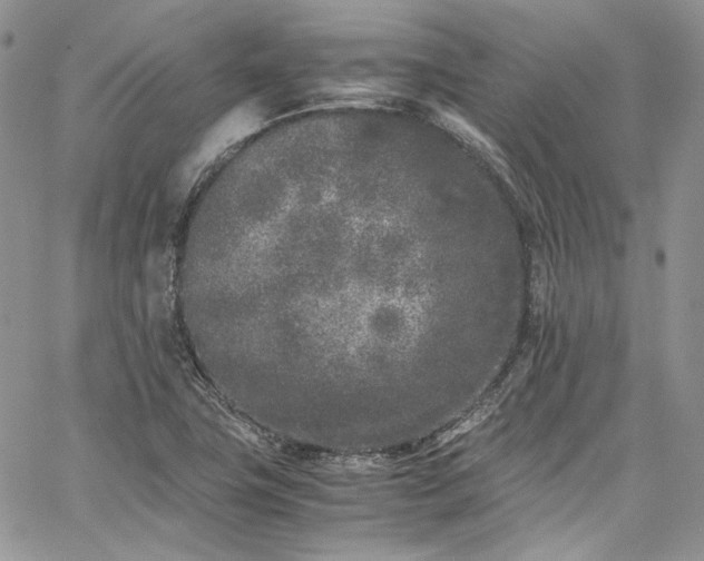 X0000067951411200604201419