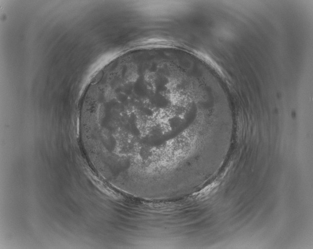 X0000067951413200604201419