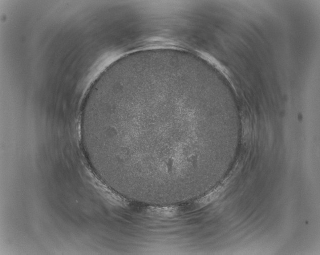 X0000067951415200604201419