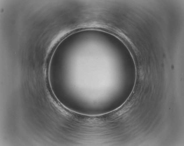 X0000067951416200604201419