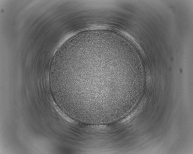 X0000067951417200604201419