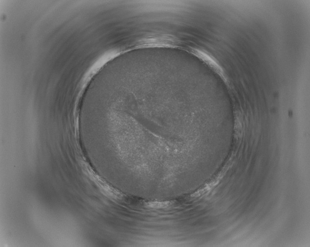 X0000067951419200604201419