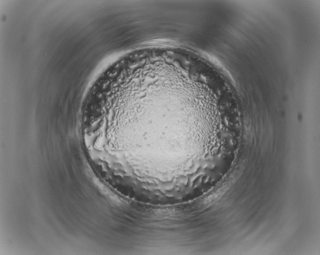 X0000067951421200604201419