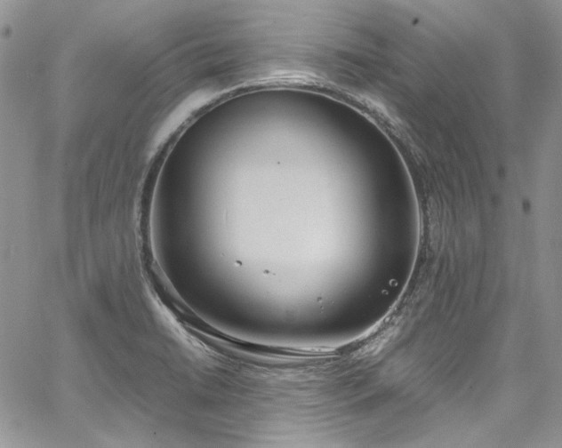 X0000067951422200604201419