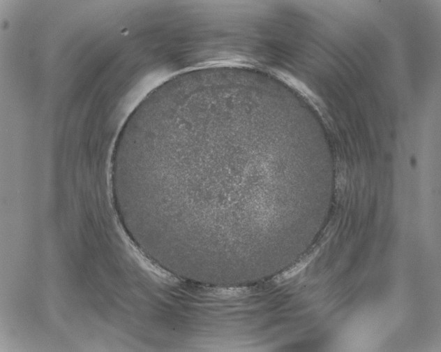 X0000067951423200604201419