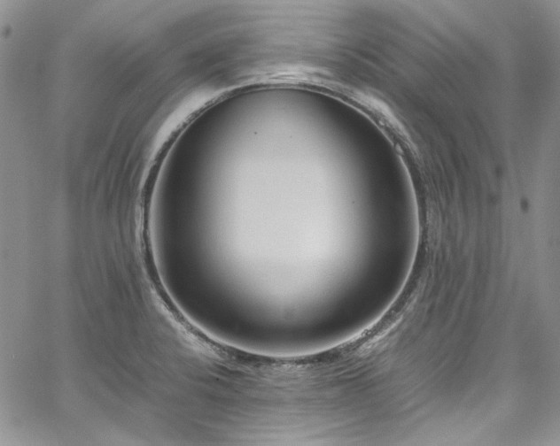 X0000067951424200604201419