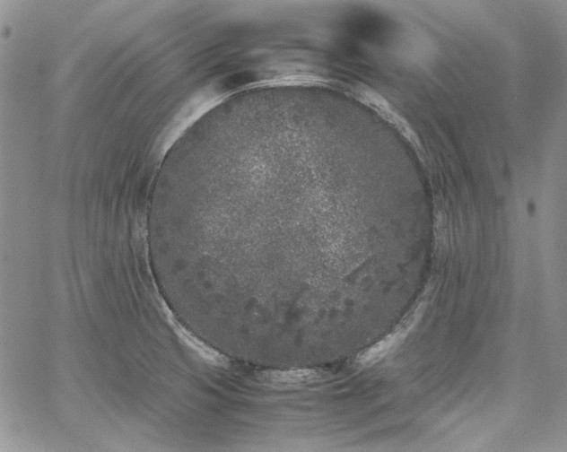 X0000067951425200604201420